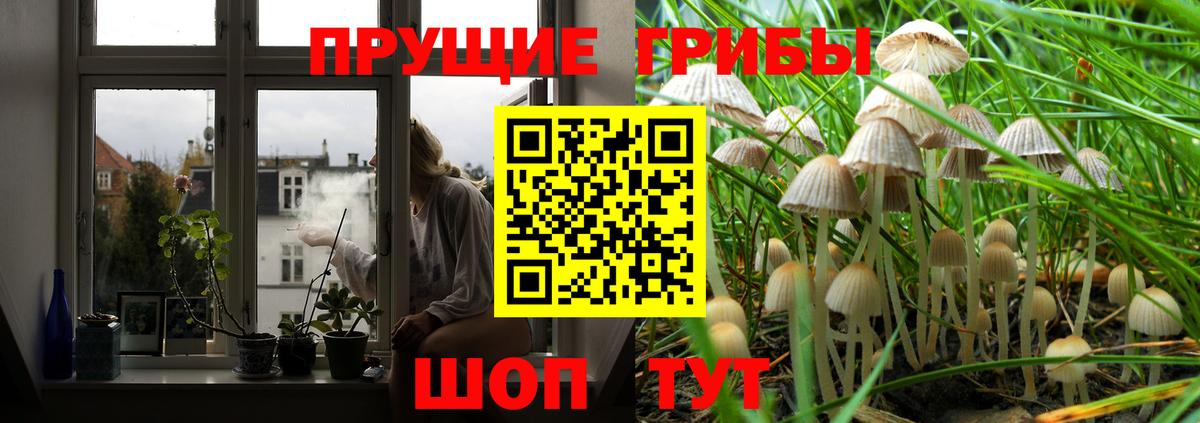 Минеральные Воды  Галлюциногенные грибы мицелий  Вход с VPN 